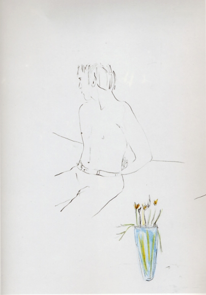 Collier Schorr, Drawn Flowers, 2007