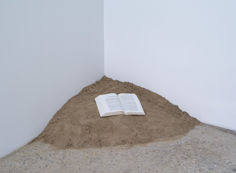 Dominique Gonzalez-Foerster, Untitled, 2011