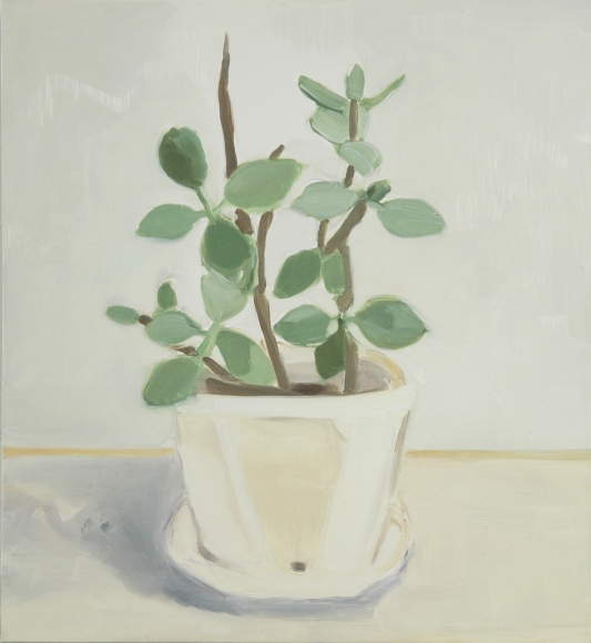 Maureen Gallace, Our Desert Plant #1, 2006