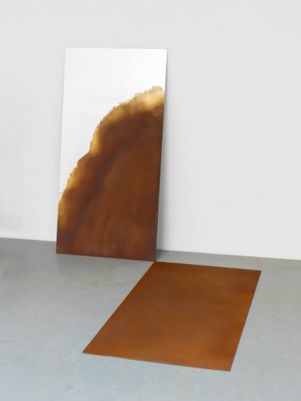 Alicja Kwade, Trait Transference, 2015