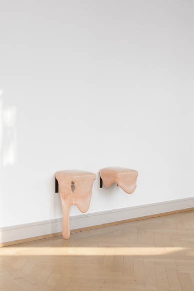 Nina Canell, Gum Shelves
