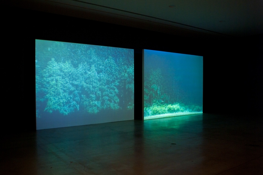 Rodney Graham, A Little Thought: Installation view: Vancouver Art Gallery, 2005