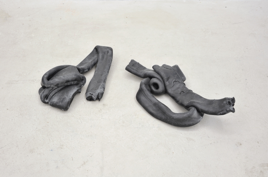 Nina Canell, Shedding Sheaths (B)