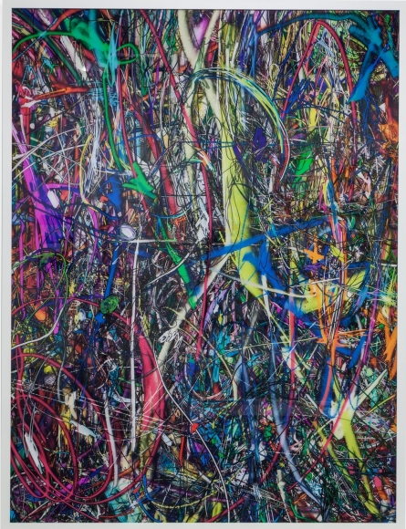 Florian Maier-Aichen, Untitled (Lasso Painting #3), 2016