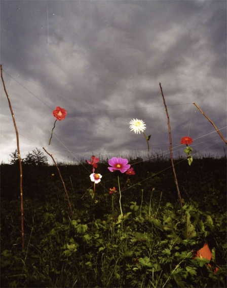 Collier Schorr, Arrangement #15 (Herrhausen), 2008