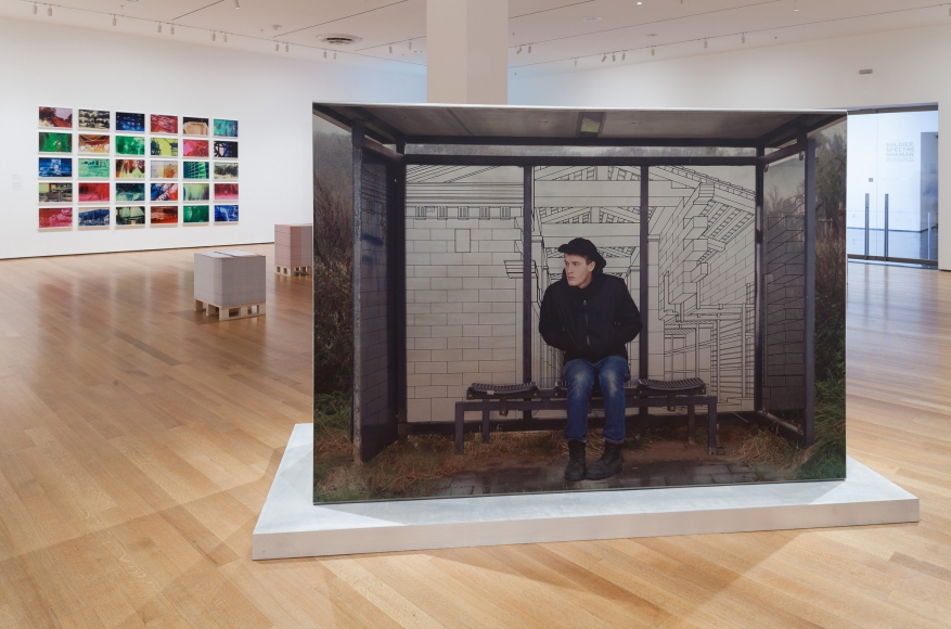Marina Pinsky, Installation view: Installation view: Ocean of Images: New Photography 2015, MoMA, New York