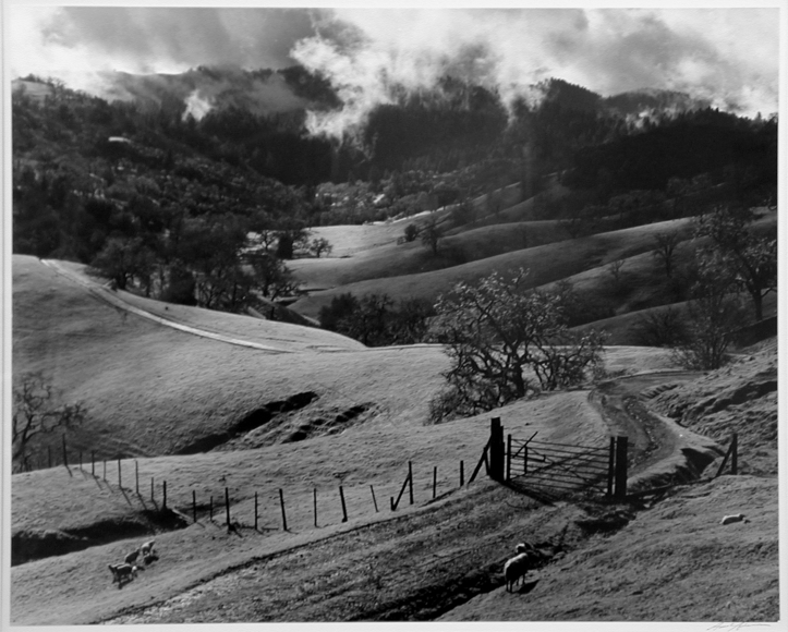 Ansel Adams - Artists - Corkin Gallery