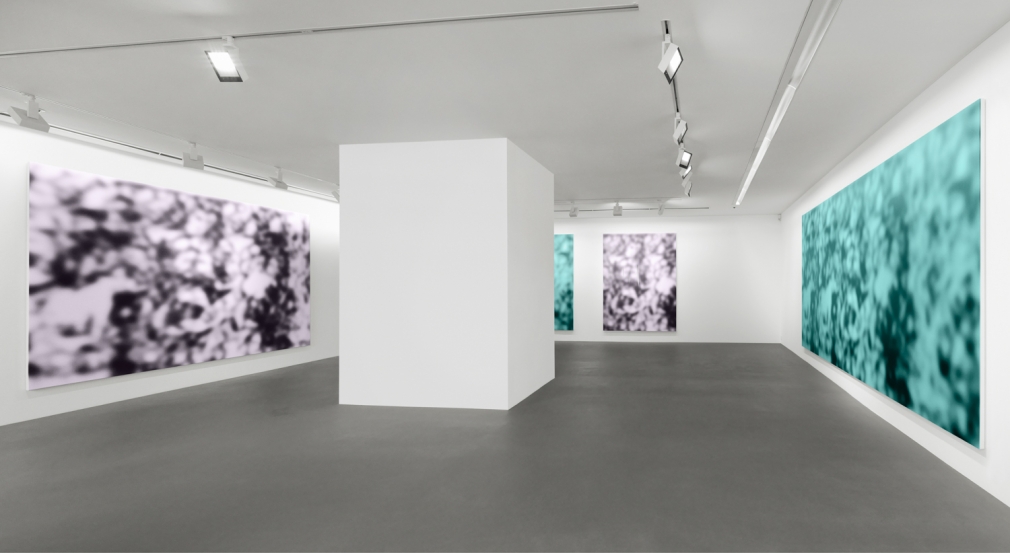 Installation view, Jeff Elrod, Figment, Vito Schnabel Gallery, St. Moritz, 2016