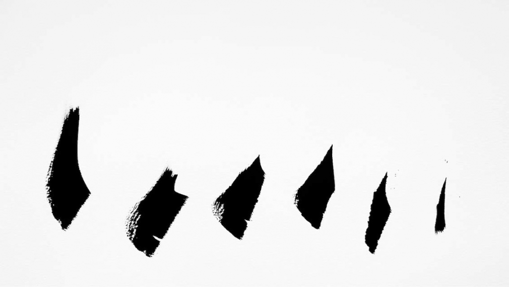 Anne Deleporte Zebra Drawing 6, 2013 ink on paper 23 1/8 x 37 1/8 inches