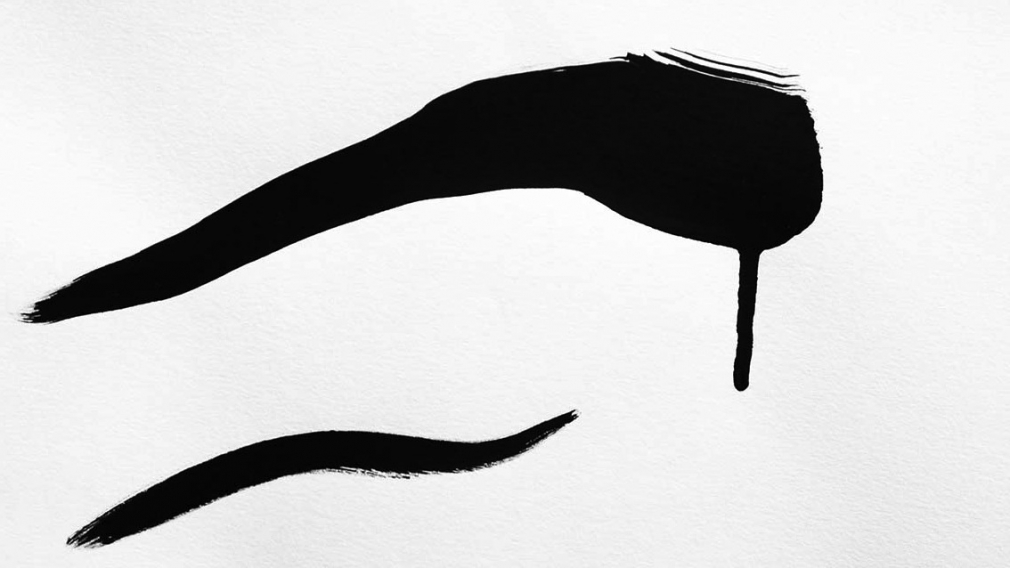 Anne Deleporte Zebra Drawing 3, 2013 ink on paper 23 1/8 x 37 1/8 inches