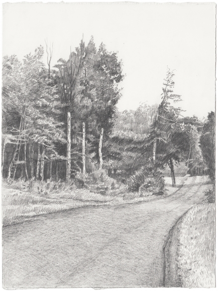 3 Trees
