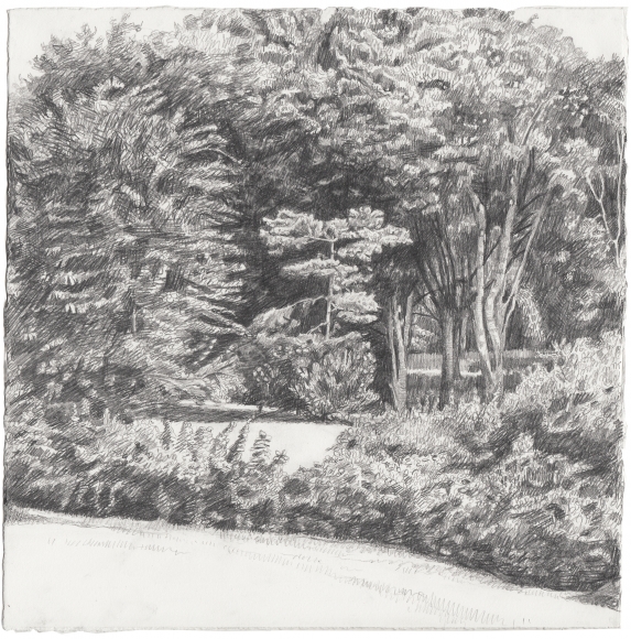 Backyard, 2015