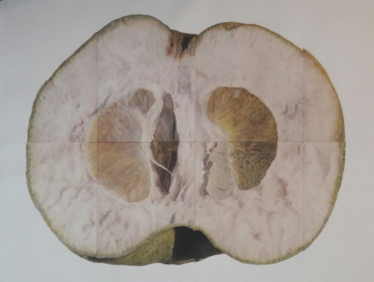 Avishek Sen Feel that breathing, 2020 Water-based medium on paper 40h x 54w in
