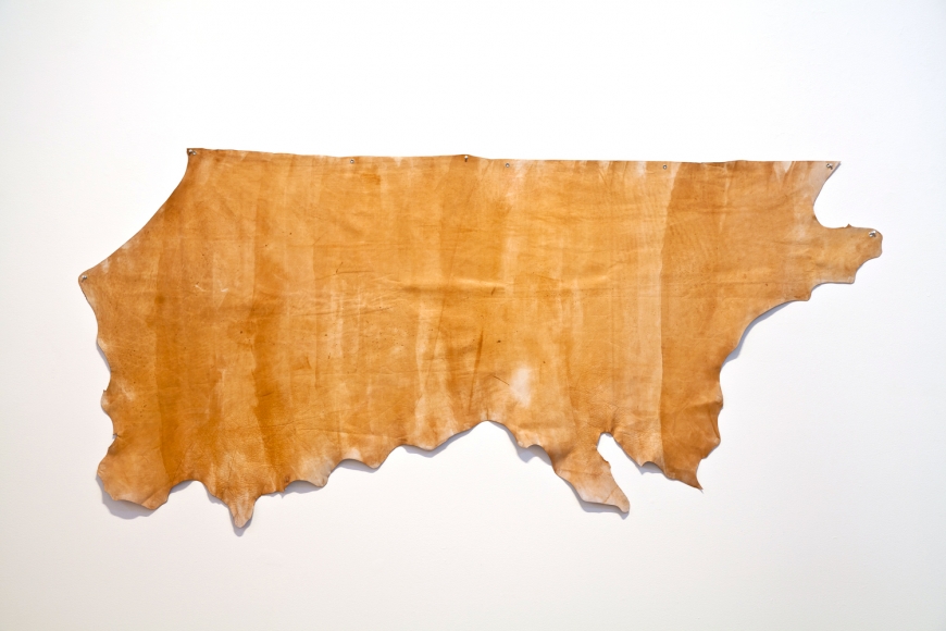Giulia Piscitelli, American Skin