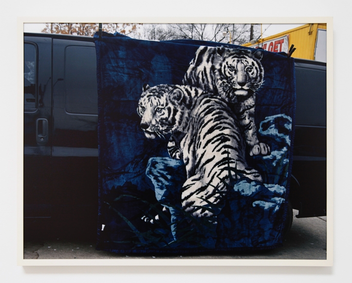 Justine Kurland, Tigers on Cesar Chavez, 2011