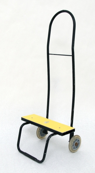 Giulia Piscitelli Ferrari Dolly, 2014