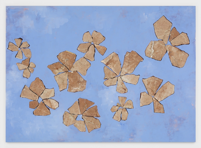 Sam Moyer Bucknell Bougainvillea, 2019