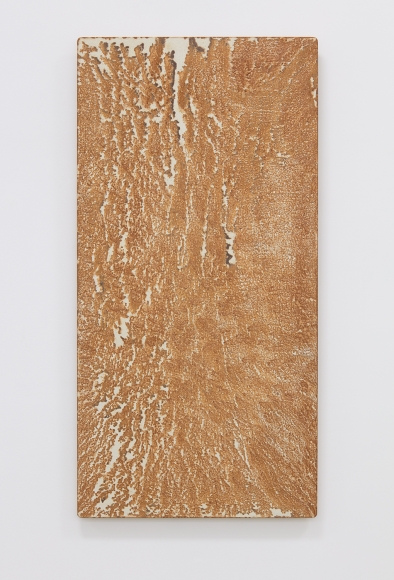 Tatsuo Kawaguchi Relation-Quality, 1981