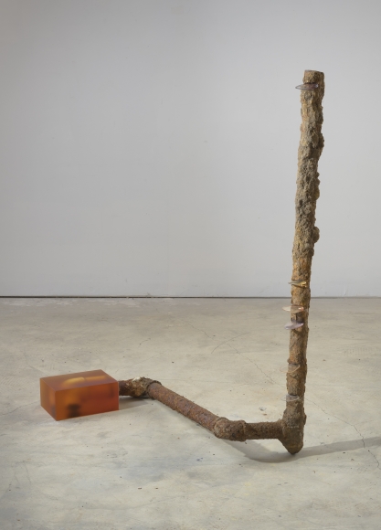 Rosha Yaghmai, Optometer, Snake