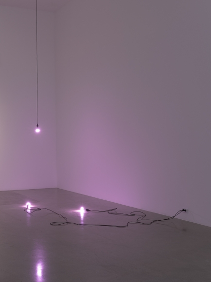 Mika Tajima, Meridian, 2016