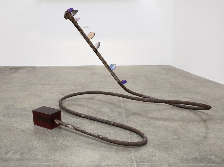 Rosha Yaghmai Optometer, Smoke, 2016