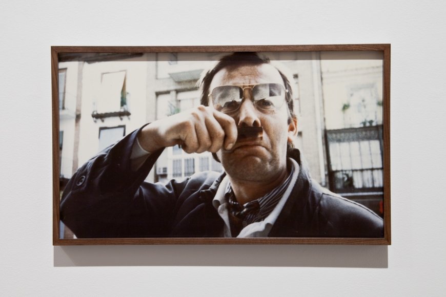 Michel Auder, Kippenhitler