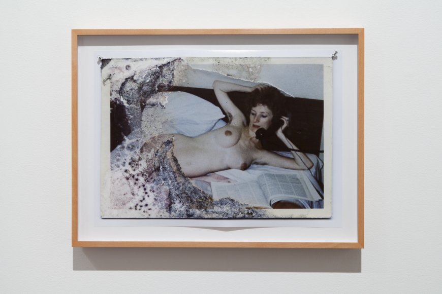 Michel Auder, Venus