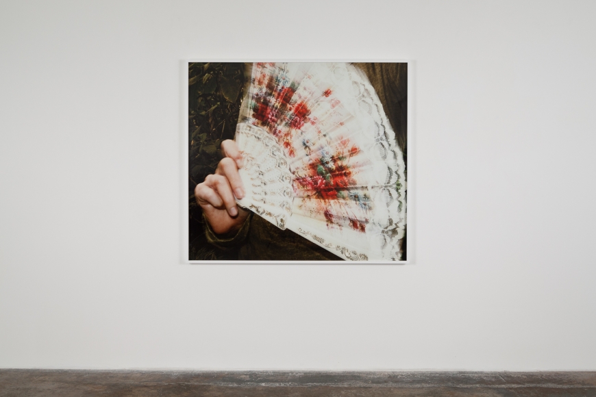Liza Ryan, Untitled