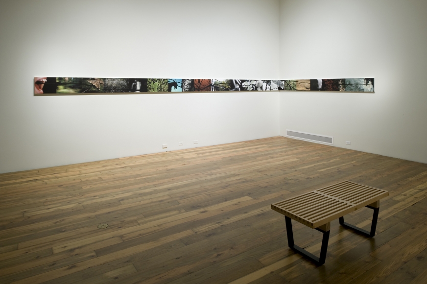 Liza Ryan, Spill
