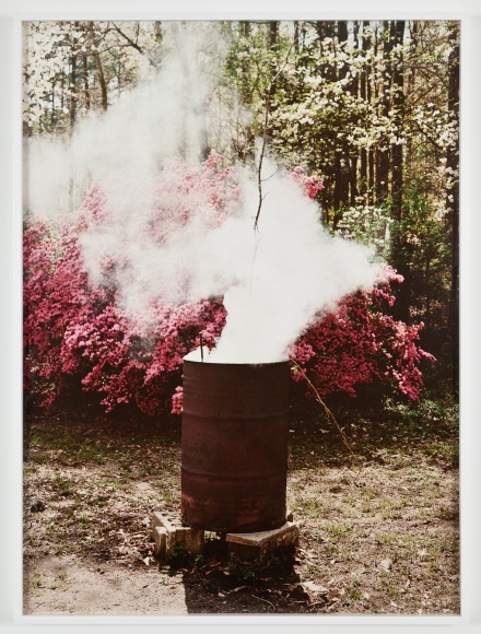 Liza Ryan Bloom #1, 2012 Pigment print 56 ¾ x 44 ¾ inches Edition of 5