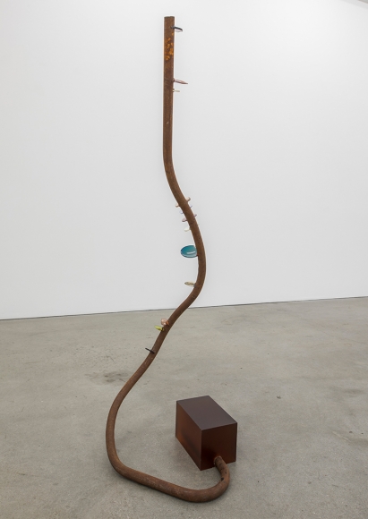 Rosha Yaghmai Optometer, Sea Sick, 2017