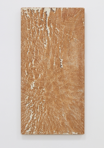 Relation-Quality, 1981 Cotton cloth, iron, rainwater and wooden panel