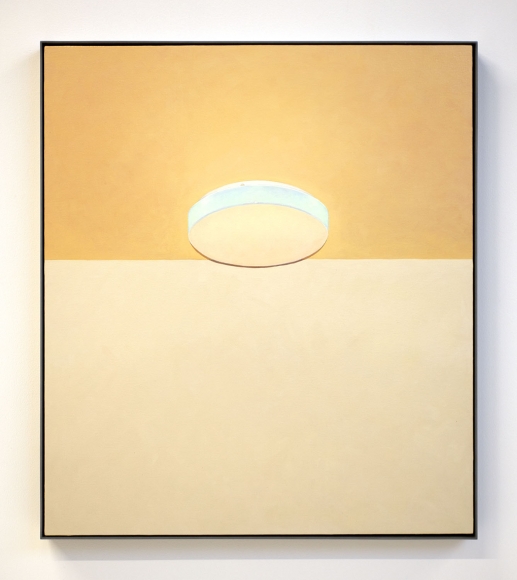 Deanna Thompson, Light Fixture #3