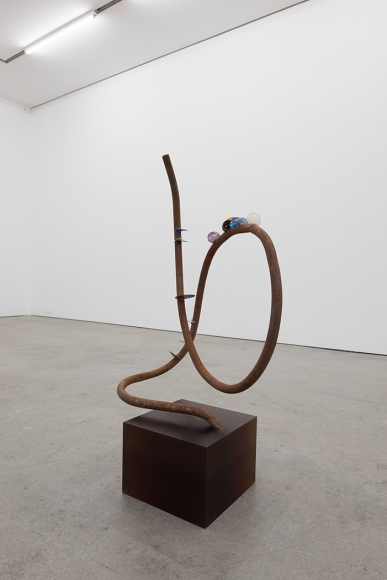 Rosha Yaghmai Optometer, Charm, 2017