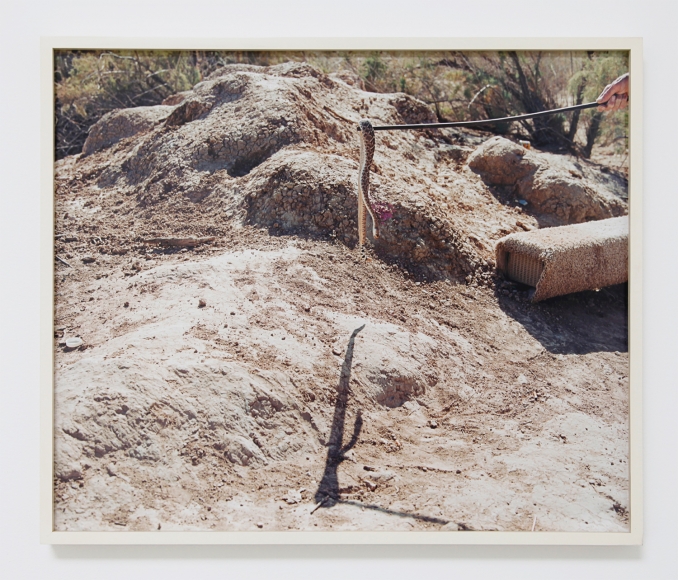 Justine Kurland, Snake, 2011