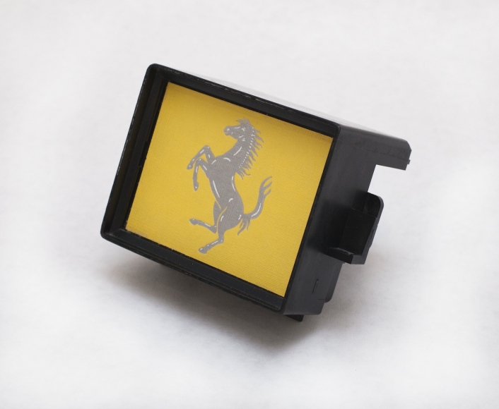 Giulia Piscitelli Ferrari monitor, 2014