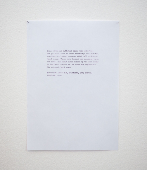 Hannah Rickards, Birdsong