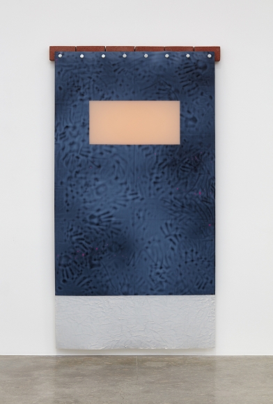 Rosha Yaghmai, Imitation Crab, 2017