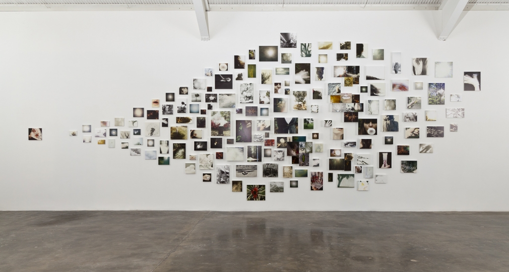 Liza Ryan, Rare Bloom