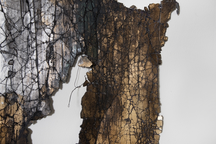Marie Bannerot McInerney Diluvial Drawing 5 (detail)