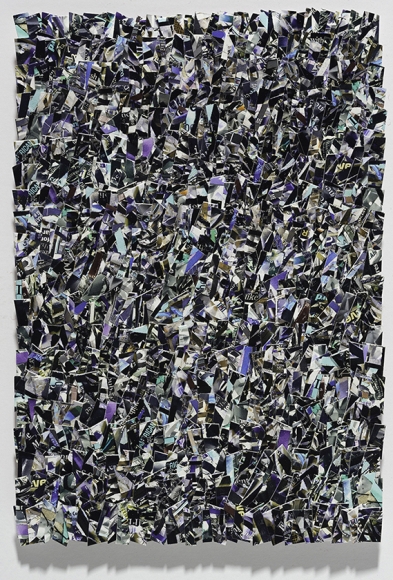 Miki Baird remnants series