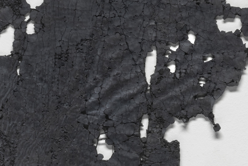 Diluvial Drawing 6 (detail)
