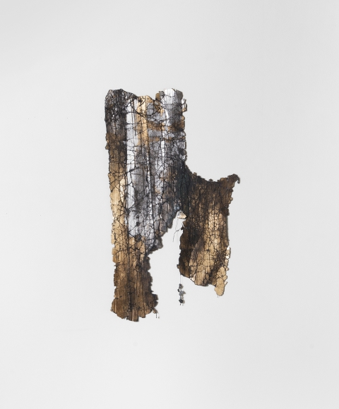 Marie Bannerot McInerney Diluvial Drawing 5