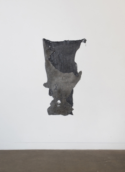 Marie Bannerot McInerney Diluvial Drawing 2