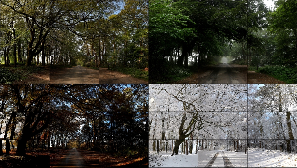David Hockney, The Four Seasons, Woldgate Woods (Spring 2011, Summer 2010, Autumn 2010, Winter 2010), 2010-2011