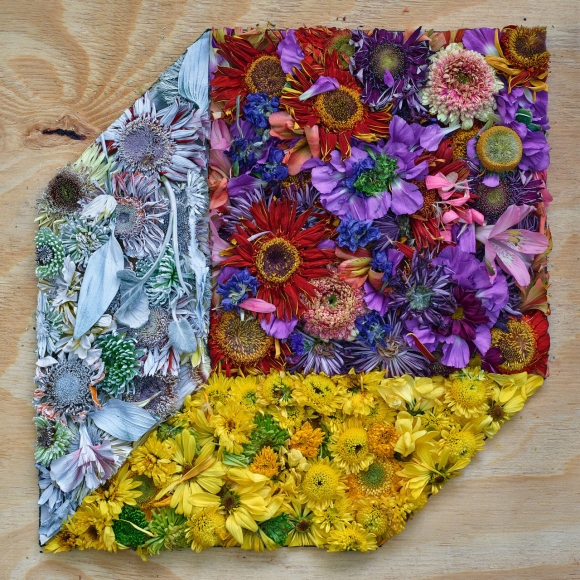 Abelardo Morell Flowers for Lisa Exhibitions Edwynn Houk Gallery