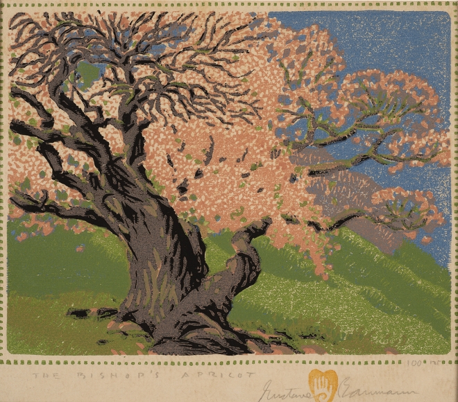 Bishops Apricot