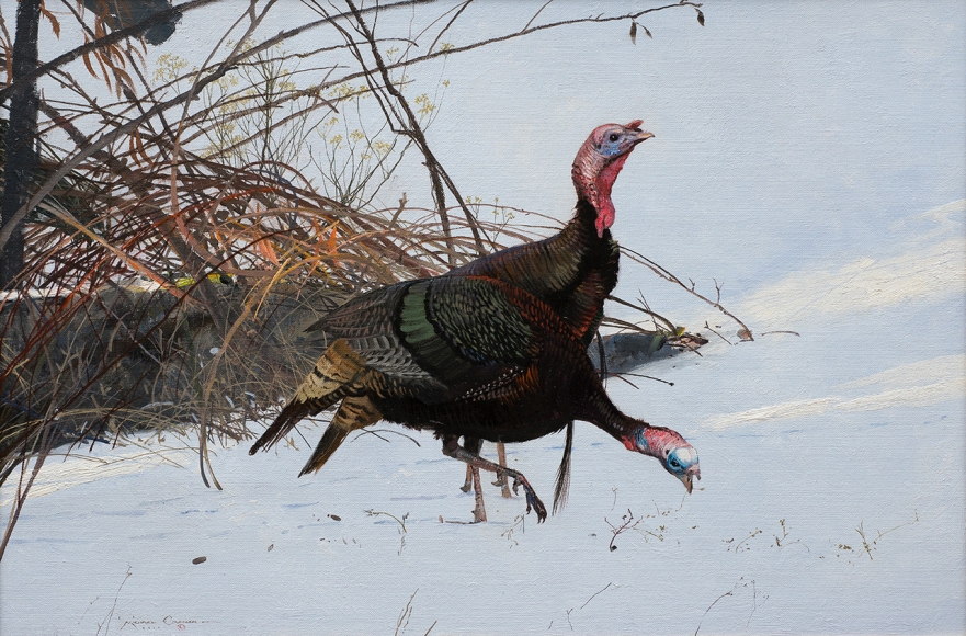 Coleman Turkeys