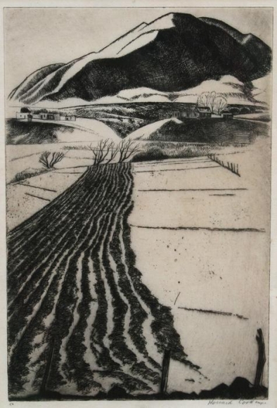 Howard Cook
