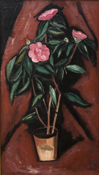 Camellias